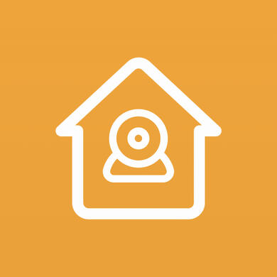 HomeVision for HomeKit Cameras